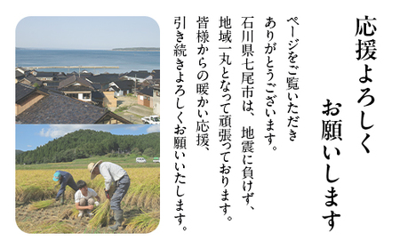 【発送時期が選べる】令和6年産 コシヒカリ 能登米(3kg×2袋) ◇ ｜ 国産 ふっくら ツヤツヤ 甘いこしひかり 精米 白米 送料無料 石川県 七尾市 能登 ※2024年11月下旬～2025年6月