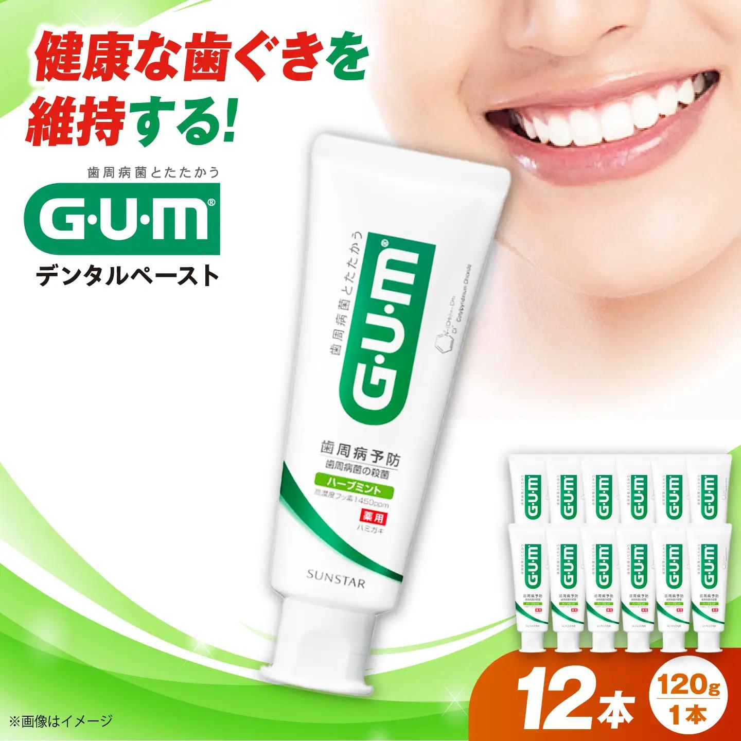 GUM デンタルペースト スタンディングタイプ 12本 AOAD079 はみがき粉