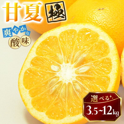【ふるさと納税】【太陽をたっぷり浴びた】甘夏【極】 3.5kg / 6kg / 12kg_ みかん ミカン 蜜柑 甘夏 あまなつ 果物 くだもの フルーツ デザート おいしい かんきつ 柑橘 柑橘類 国産 愛媛 愛媛県 八幡浜市 産直 産地直送 送料無料 【G1621796】