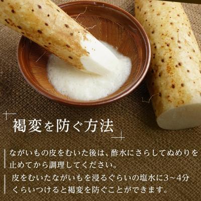 ふるさと納税 角田市 【先行予約】宮城県角田市産ながいも約4kg(3〜5本)【2025年11月下旬〜順次発送】 |  | 02