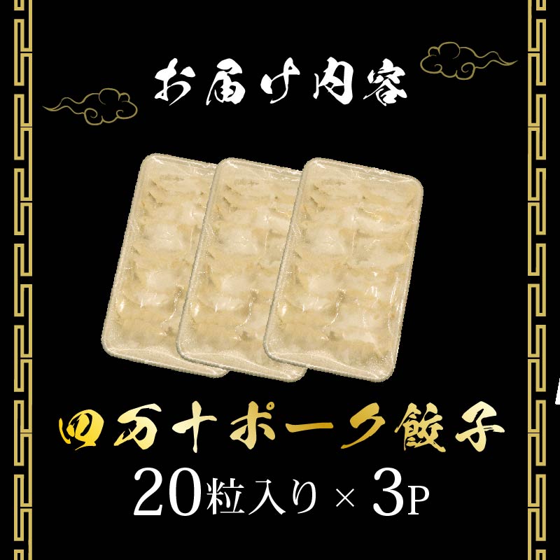 餃子 ヤマジュウの特選！四万十ポーク手作り餃子６０個_イメージ5