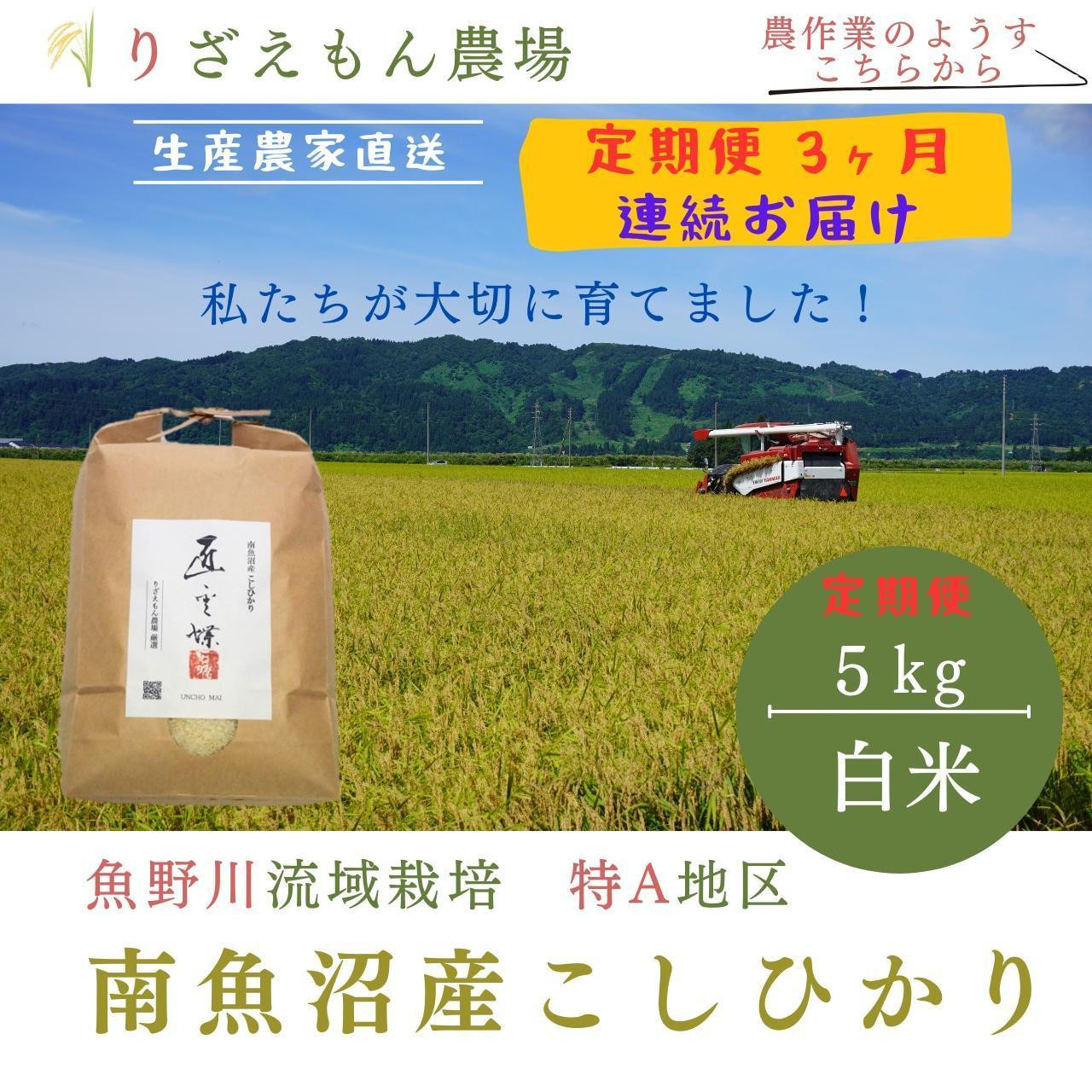 
《新米予約受付》【定期便3回×5kg《合計15kg》】令和６年産　南魚沼産コシヒカリ　白米5kg　＼生産農家直送／
