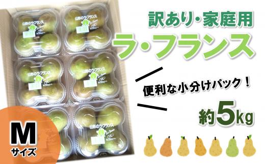 【令和7年産先行予約】〈訳あり品 家庭用〉 ラ・フランス 約5kg (4玉×6パック Mサイズ) 《令和7年11月上旬～発送》 『田口農園』 ラフランス 洋なし 山形県 南陽市 [1294-R7]