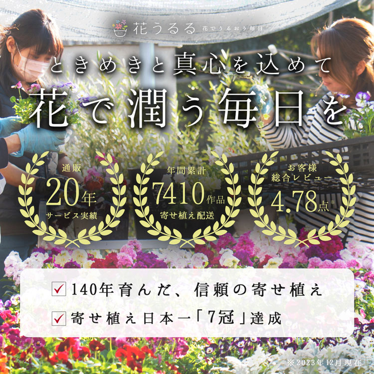 A031 花うるるのハンギング定期便～シルバーコース【全6回】（半年～1年間お届け）