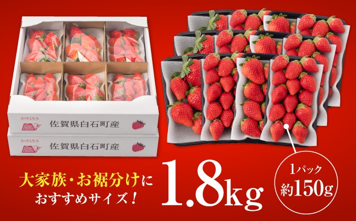 いちごの名産地からお届け！