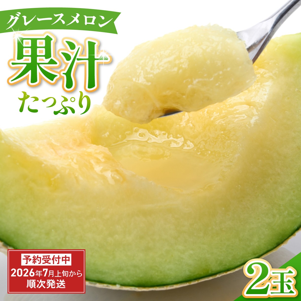 
                   グレースメロン 2玉 メロン 贈答用 甘い フルーツ ハウス 空中栽培 国産 めろん 果物 くだもの デザート おすすめ 人気 旬 青果 果実 果汁 贅沢 ご褒美 内藤園芸 静岡県 三島市
                