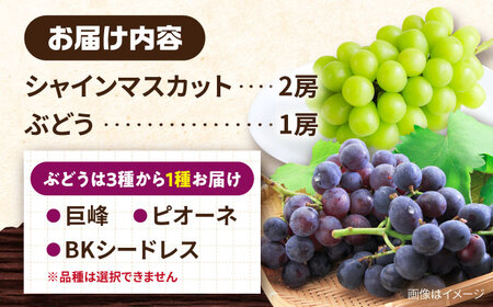 【2026年8月中旬より順次発送予定】シャインマスカット2房・ぶどう1房 約1.5kg /シャインマスカット しゃいんますかっと マスカット ますかっと ブドウ ぶどう 葡萄 フルーツ ふるーつ 果物