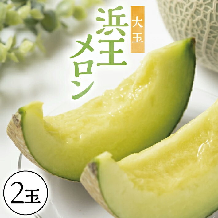 【ふるさと納税】庄内砂丘 浜王メロン 大玉 2玉 計2.8kg以上 6月下旬〜7月下旬頃お届け ※着日指定不可 メロン 青肉メロン 果物 フルーツ 東北 山形県 酒田市 庄内 夏