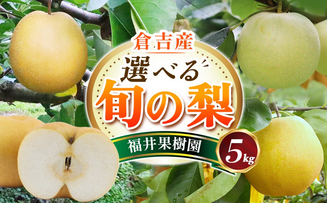 
                  【期間限定】令和8年産 選べる和梨！5kg 二十世紀梨 王秋 晩三吉 あたご梨 福井果樹園 倉吉産 梨 ナシ ブランド梨 果物 フルーツ 和梨
                