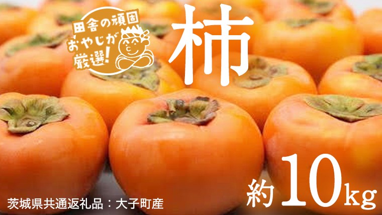 柿 品種おまかせ 約10kg【2026年10月より発送開始】（茨城県共通返礼品 [柿]：大子町産） 柿 かき カキ 果物 フルーツ 茨城県産