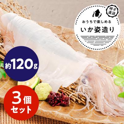 ふるさと納税 唐津市 【CAS凍結】呼子剣先いか姿造り　約120g×3パック |  | 01