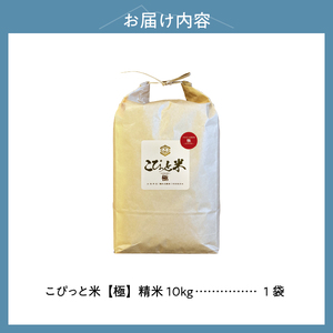 こぴっと米【極】20kg大粒厳選・１等特別栽培米100％