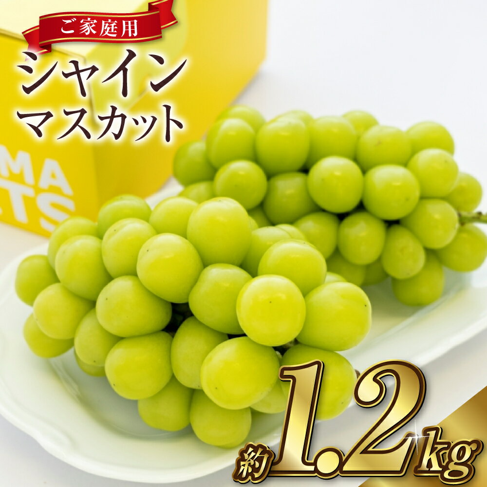 【ふるさと納税】ぶどう 2025年 先行予約 ご家庭用 シャイン マスカット 2～3房 合計約1.2kg ブドウ 葡萄 岡山県産 国産 フルーツ 果物 ギフト　 果物 ぶどう フルーツ デザート スイーツ 高糖度 甘い 種なし 大粒 人気 皮ごと【2025年9月上旬～10月下旬 発送予定】