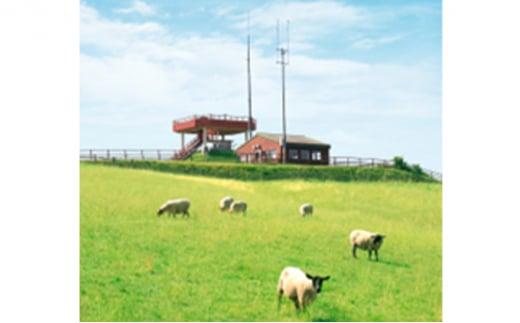 【先行予約/2025年12月以降発送】北海道産 しべちゃサフォーク（羊肉）生ラム プレミアムセット400g （ヒレ・リブカタロース・カルビ・モモ各100g）【 肉 にく 羊肉 サフォーク 希少部位 バ