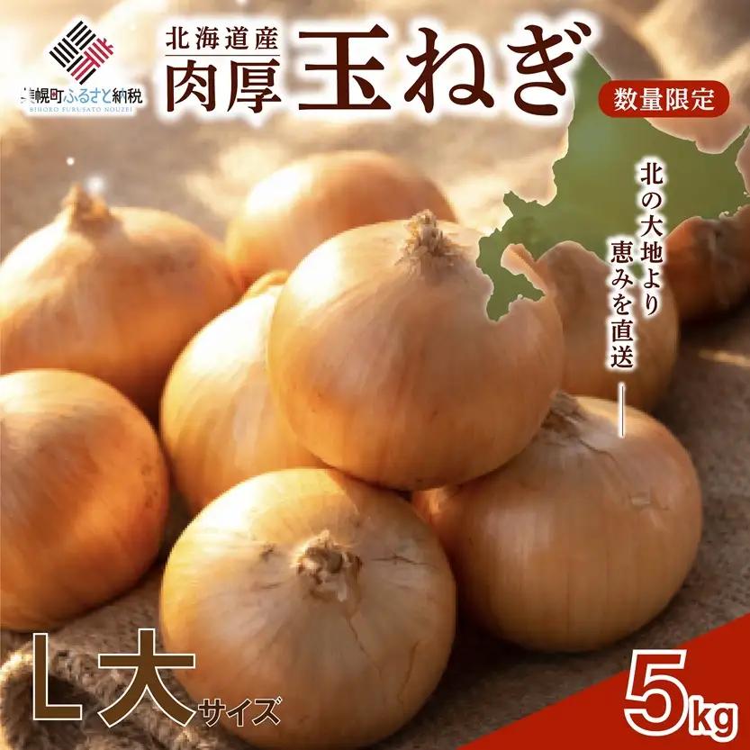【 先行予約】玉ねぎ L大サイズ 5kg 美幌町産 たまねぎ AF