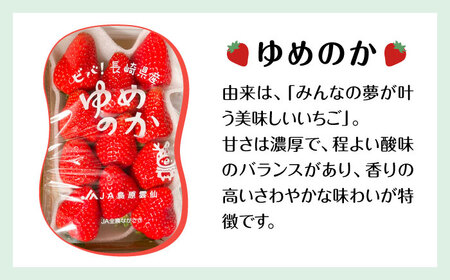 【2025年1月〜発送】【セット内容が選べる】 いちご 2種類 食べ比べ 約250g×4P / ゆめのか こいみのり / イチゴ 苺 果物 フルーツ / 南島原市 / JA島原雲仙東南部基幹センター[