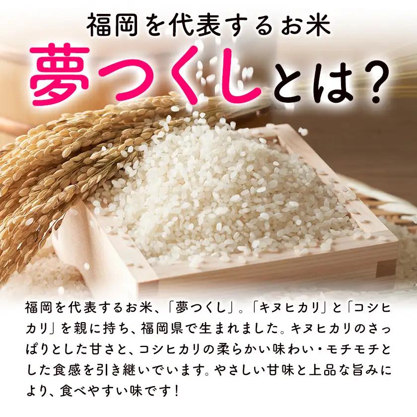 夢つくし 令和7年産 5kg 白米 《1-14日以内に出荷予定(土日祝除く)》 お米 ごはん ご飯 rice kome