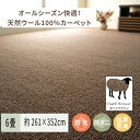 【ふるさと納税】天然ウール100%の 防炎 カーペット 1枚 6帖 ダークブラウン 約261×352cm 600023760｜防炎 防ダニ 抗菌加工 防音 オールシーズン ウールカーペット インテリア 天然素材 [3533]