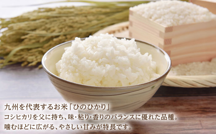 【2025年発送分 先行予約】令和7年産 ひのひかり5kg 白米 / ふるさと納税米 / 佐賀県 / 有限会社中島商店 [41AGAC003]