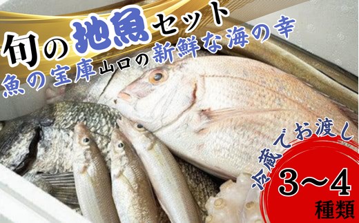 ★北海道・沖縄県・離島配送不可★【魚千代】地魚詰合せ