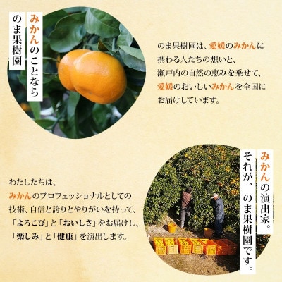 のま果樹園のしまなみみかんジュース 500ml/6本【V003020SET6】【1634397】