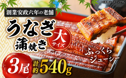 【うなぎや】 炭火焼 うなぎの蒲焼き 3尾 【紀州備長炭使用】 鰻 ウナギ 土用の丑の日 丑の日 蒲焼き 蒲焼 老舗 真空パック 特大 大 特上 送料無料 多治見市 [TFO003]
