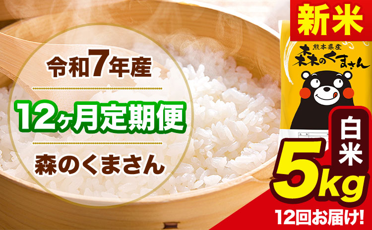 新米 令和7年産 森のくまさん【12ヶ月定期便】 白米 《お申込み翌月から出荷》5kg(5kg×1袋) 計3回お届け 熊本県産 単一原料米 森くま 熊本県 玉東町---mk7tei_138000_5kg_mo12_gkt_h---
