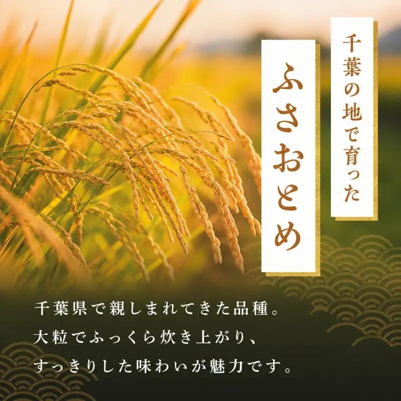 【令和8年産】 ふさおとめ　無洗米　10kg（5kg×2）【 お米 精米 大粒 粘り気 ファン 】 千葉県 