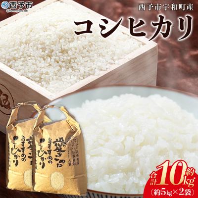 ふるさと納税 西予市 <令和7年産 西予市宇和町産 コシヒカリ 約10kg> お米