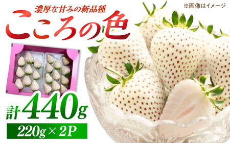 【先行予約】新品種  白石町産 白いちご 「こころの色」 220g×2パック 【鐘ヶ江農園】[IBH016]