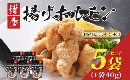 博多揚げホルモン(5袋セット) ホルモン 国産豚 唐揚げ おつまみ 送料無料
