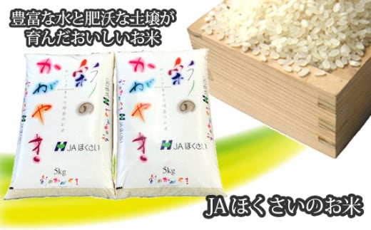 No.296 行田市産「彩のかがやき」精米10kg（5kg×2） ／ お米 白米 ごはん 埼玉県 特産品