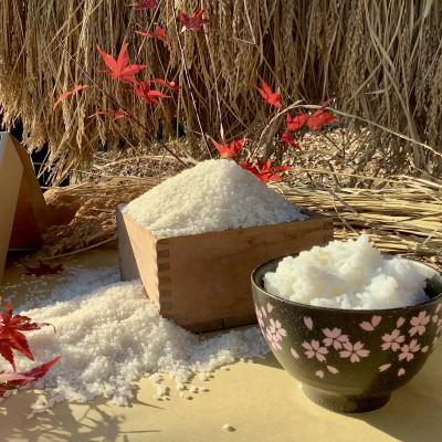 ふるさと納税 大子町 【毎月定期便】アミーゴ米  2kg【白米】(コシヒカリ・天日干し米・1年目)|茨城県 大子町全3回 |  | 01