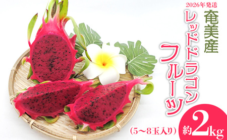 2026年発送【奄美産】レッドドラゴンフルーツ 約2kg（5～8玉入り）果物 フルーツ