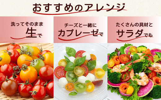 たにぐちファーム カラフルミニトマト 約1kg 『Ricotomato とりこになるトマト』 B-280