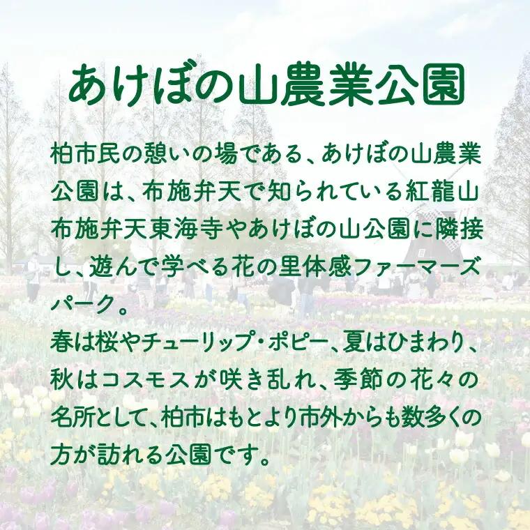 スイーツ 野菜スイーツセット スイーツ