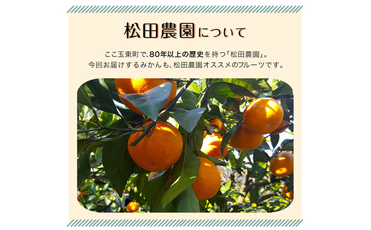 ジューシーで甘い♪『松田農園』のみかんたっぷり約5kg (S-2Lサイズ) 《11月上旬-1月下旬頃出荷》 予約受付中 フルーツ 秋 旬 熊本県 玉名郡玉東町『松田農園』手間暇かけたこだわりのミカンs