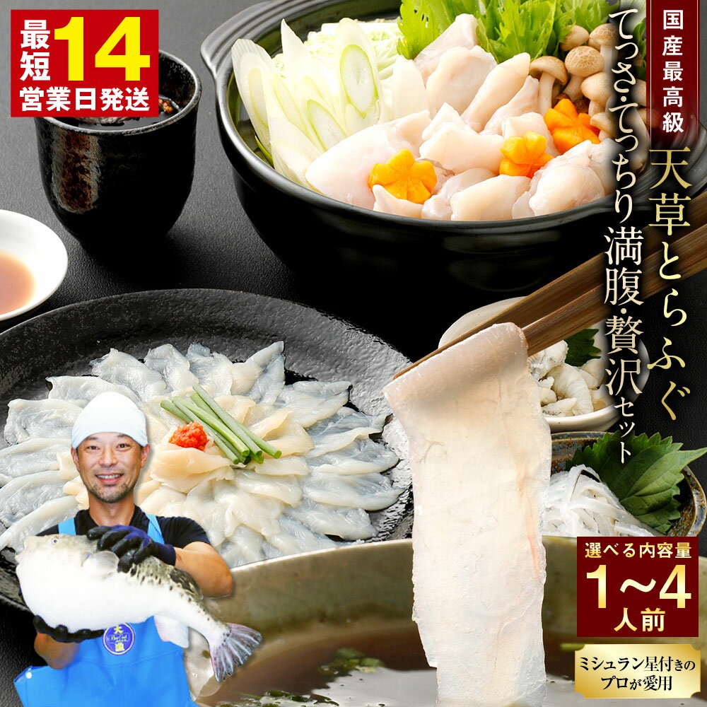 【ふるさと納税】【ミシュラン星付きのプロが愛用】【数量限定】ふぐの王様 国産 天草とらふぐ てっさ・てっちり満腹・贅沢セット 選べる内容量 1〜4人前 河豚 フグ ふぐ鍋セット てっちりセット お刺身 ふぐ皮 ふぐ刺し身 フルコース ひれ酒 【緊急支援品】