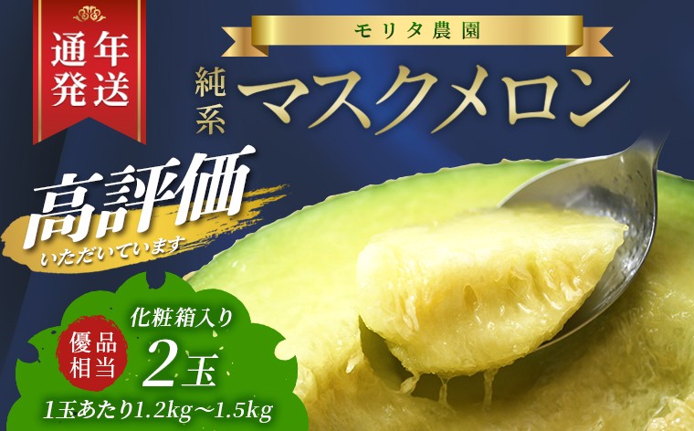 
                  【最短4月発送！通年栽培】純系マスクメロン２玉（化粧箱入）　メロン マスクメロン フルーツ 果物 2玉 2個 年間 通年 2026年 先行予約 先行受付 発送 すぐ 発送時期選べる おすすめ 贈答用 優 高級 化粧箱 箱入り プレゼント 贈り物 ギフト 国産 千葉県 富津市 送料無料 モリタ農園
                