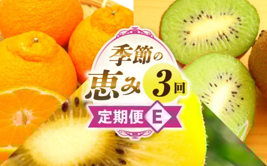 季節の恵み3回定期便E_mk165-t020