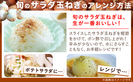 玉ねぎ 節減対象農薬 当地比5割減 サラダ玉ねぎ (中サイズ) 2kg《2月中旬-3月下旬頃出荷》熊本県 葦北郡 津奈木町 篠原農園 野菜 たまねぎ 自然栽培 大小サイズ混合