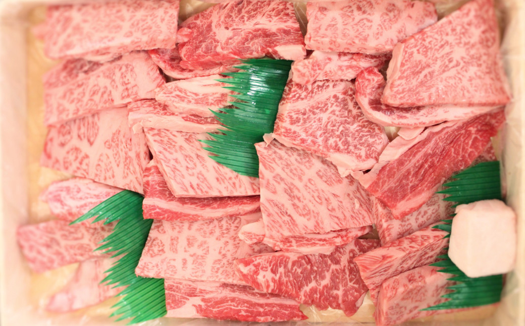 愛媛県産 黒毛和牛 雌牛 いしづち牛肩ロース 焼肉用 500g（664）