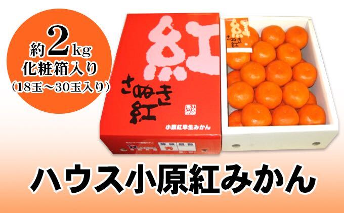 ハウス小原紅早生みかん（さぬき紅）　約2kg 果物類 柑橘類 フルーツ 