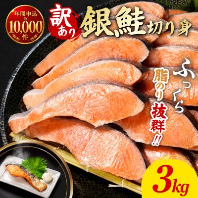 ふるさと納税 小松島市 訳あり 銀鮭 切り身 3kg 冷凍 【北海道・沖縄・離島配送不可】