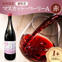 【ふるさと納税】赤ワイン NOVICE マスカット・ベーリーA 1800ml×1本 フルボトル 日川中央葡萄酒 山梨県 笛吹市 ふるさと納税 ワイン マスカット・ベーリーA 赤ワイン 一升瓶 酒 果実酒 ギフト 家飲み パーティー のし 名入れ不可 送料無料 山梨県 笛吹市 177-7-16