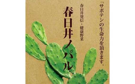 メキシコ生まれ春日井育ちの健康野菜 食べるサボテン「春日井ノパル」300ｇ×２パック　サボテン 多肉植物 ウチワサボテン 食用サボテン ノパル ノパール ノパレス NOPAL スーパーフード　ダイエッ