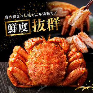 北海道産 毛ガニ1杯(700～730g)_H0001-1311