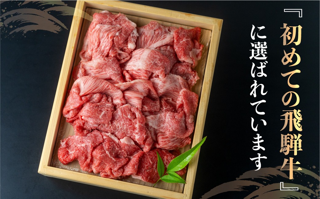 飛騨牛 切り落とし 800g 訳あり JA 不揃い 牛肉 スライス 切落し 和牛 すき焼き すきやき 肉 切り落とし 牛肉 20000円 2万円 人気 おすすめ ランキング JAひだ [S493] 