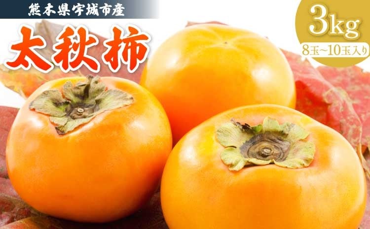 
            柿 先行予約 太秋柿 約3kg フレッシュダイレクト【2026年10月中旬～11月中旬発送予定】宇城市産
          