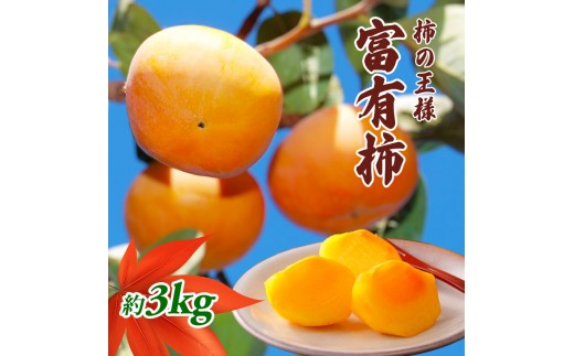 
                  柿の王様 富有柿 3kg 果物類 
                